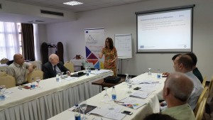 Ms. Vjosa Mullatahiri delivering the Training on Logical Framework